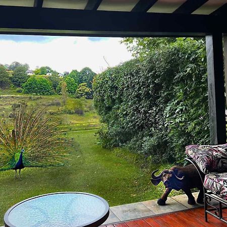 Malachite Manor Underberg Eksteriør billede