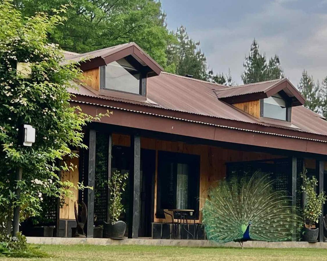 Malachite Manor Underberg Eksteriør billede