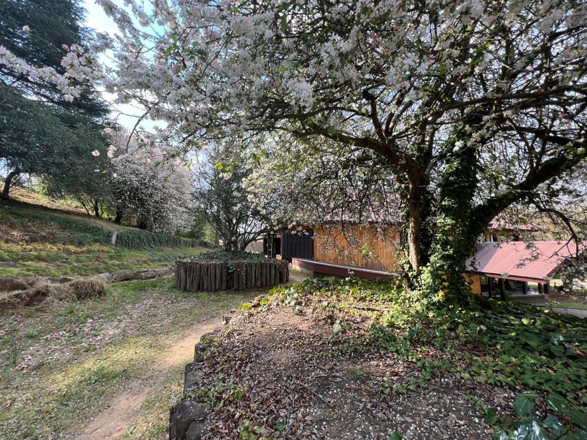 Malachite Manor Underberg Eksteriør billede